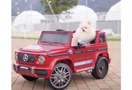 232bae85194a3d7a603005fd55f04b14