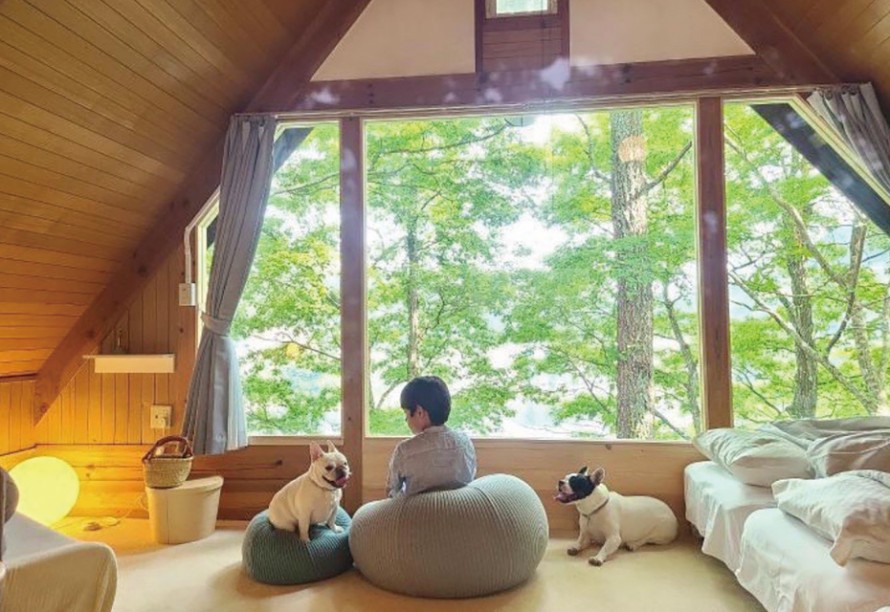 a5ca65d638d6b857b8779dc7bbbd115c1