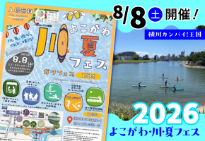 ef4d755471ff64b62bba8e7bdc036a36